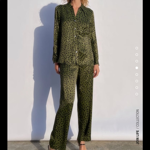 Zara 2-Piece Animal Print Shirt & Pants Set SIZE Small - Picture 2 of 16